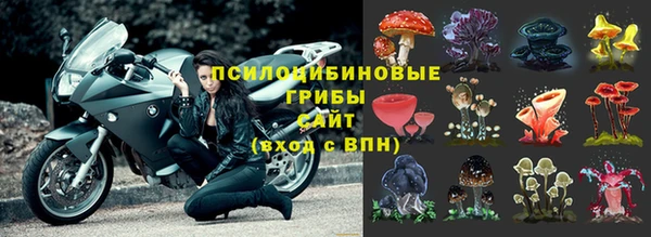 a pvp Волоколамск